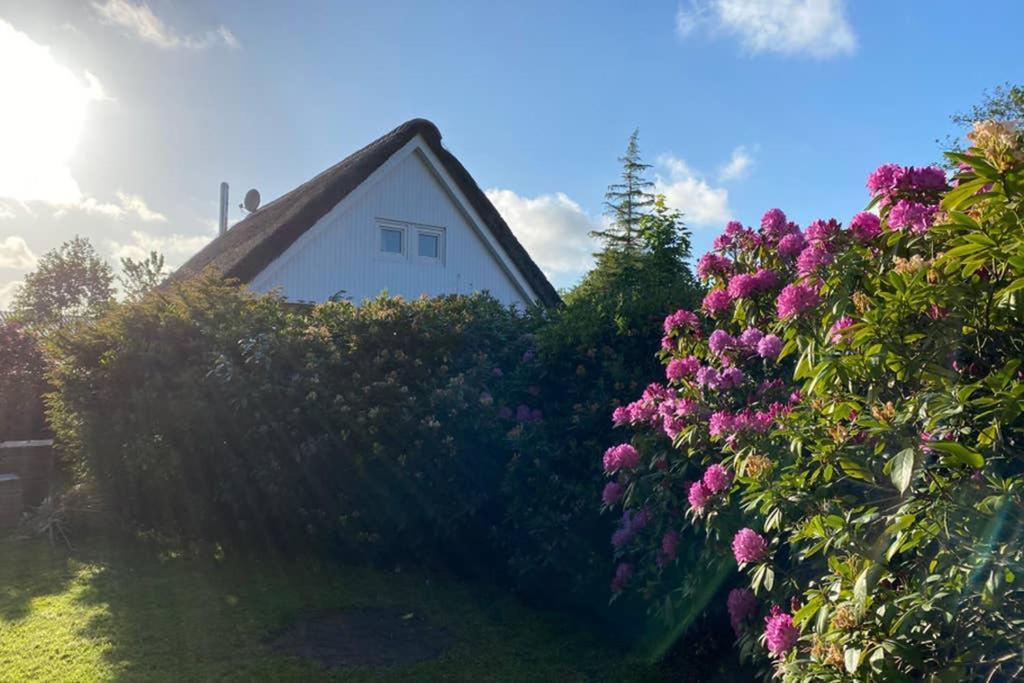 Ferienhaus Butterblume Südbrookmerland Exterior foto